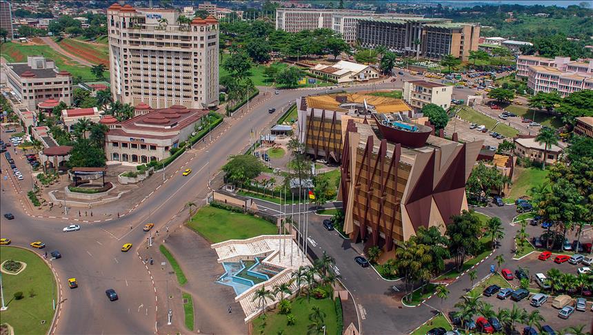 Cameroon Investigators